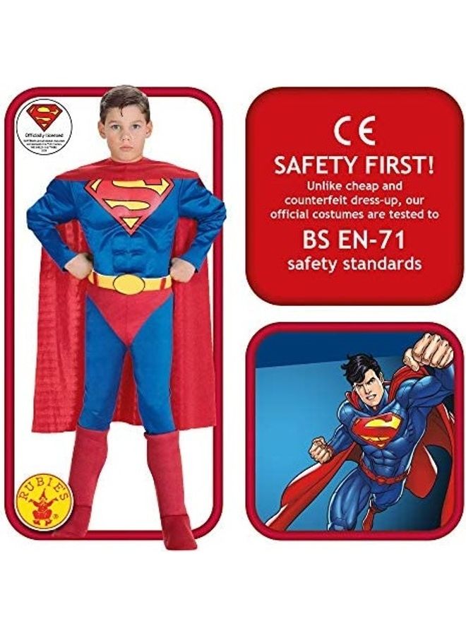 NIBEMINENT Super DC Heroes Muscle Chest Superman Costume L - Image 2