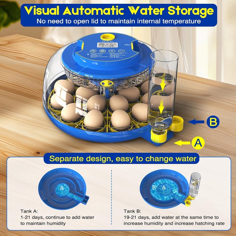 SENXINGYAN Egg Incubator for Hatching Chicks, 18 Eggs Automatic Egg Turner Multifunctional Smart Incubator 360° Clear Window with Temperature u0026 Humidity Control, Egg Candler for Poultry Chickens Ducks Quails - Image 4