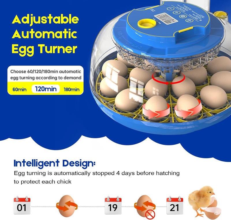 SENXINGYAN Egg Incubator for Hatching Chicks, 18 Eggs Automatic Egg Turner Multifunctional Smart Incubator 360° Clear Window with Temperature u0026 Humidity Control, Egg Candler for Poultry Chickens Ducks Quails - Image 3