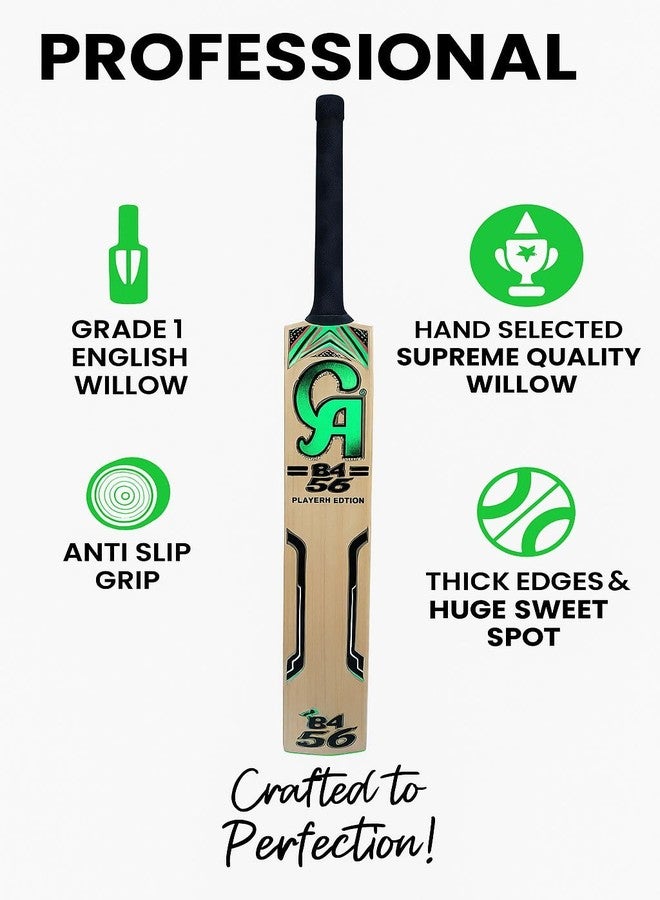 تبلد مضرب كريكيت من خشب الصفصاف الإنجليزي من SAG CA | مضرب خفيف الوزن كامل الحجم | مضرب فاخر من خشب الصفصاف الإنجليزي لكرة الموسم | مقبض مريح مصمم هندسيًا | مثالي للضربات القوية في مباريات الأندية والبطولات - Image 2