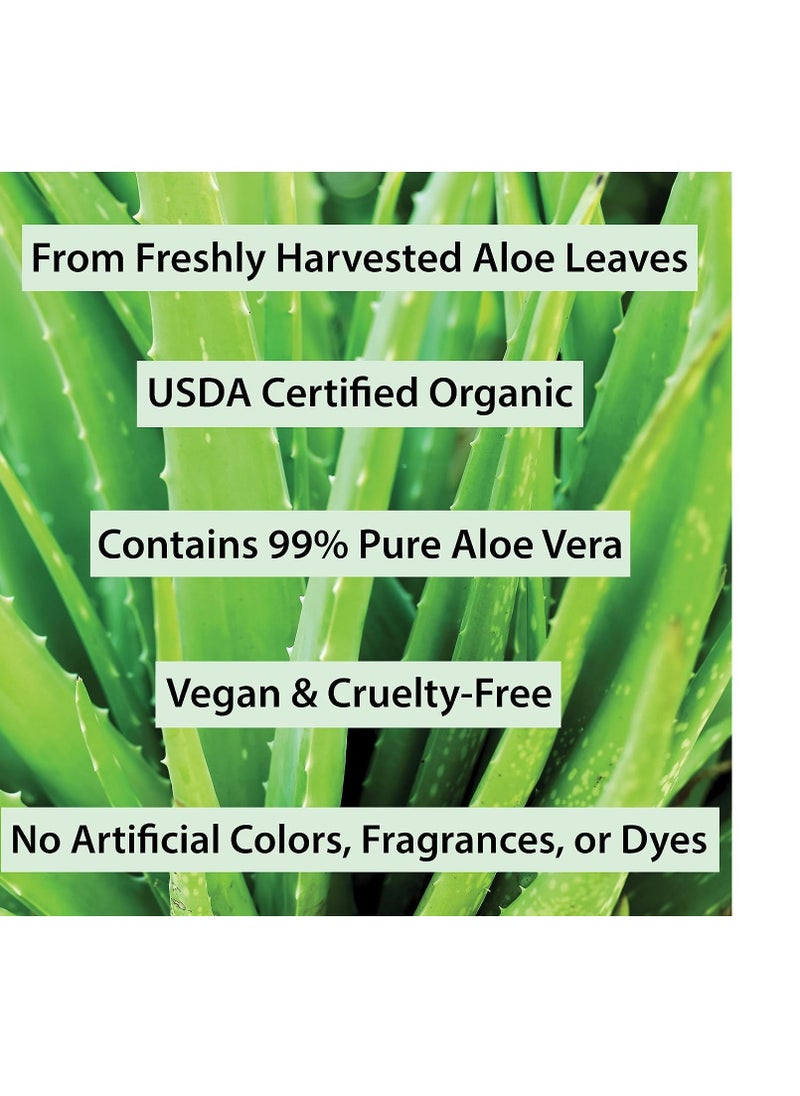 Amara Beauty - USDA Organic Aloe Vera Gel - For Face, Body, Hair - 100% Pure, After Sun Care - Image 1