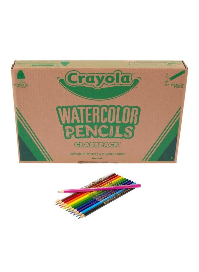Crayola Classpack Watercolor Pencils, 240ct, 20 each of 12 Colors, Great for Classroom, Educational, Art Tools - Image 1