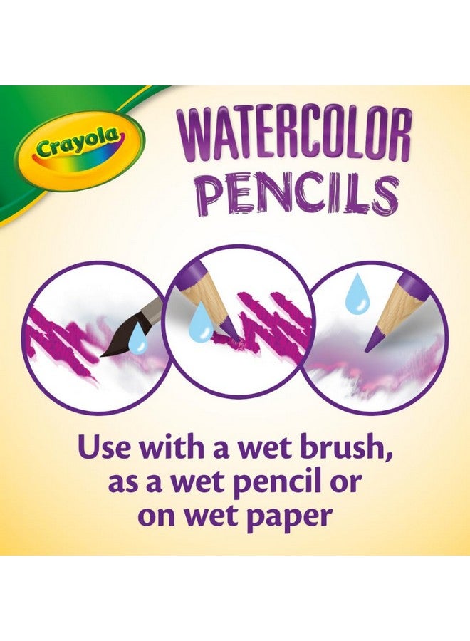 Crayola Classpack Watercolor Pencils, 240ct, 20 each of 12 Colors, Great for Classroom, Educational, Art Tools - Image 5