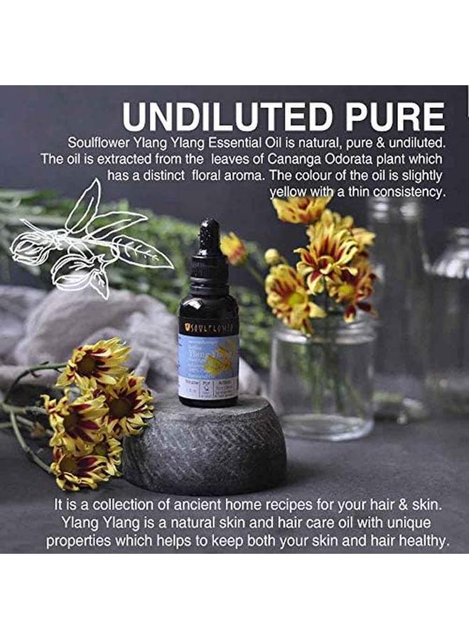 سول فلاور زيت يلانج يلانج العطري العضوي 100%، نباتي نقي، غير مخفف، مواد حافظة طبيعية عطرية، 30 مل، 1 أونصة سائلة - Image 3