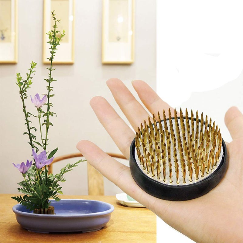 SteelFever حامل زهور دائري كينزان أداة تثبيت الزهور دبابيس زهور للترتيبات الزهرية مزهرية 24 ذهبية