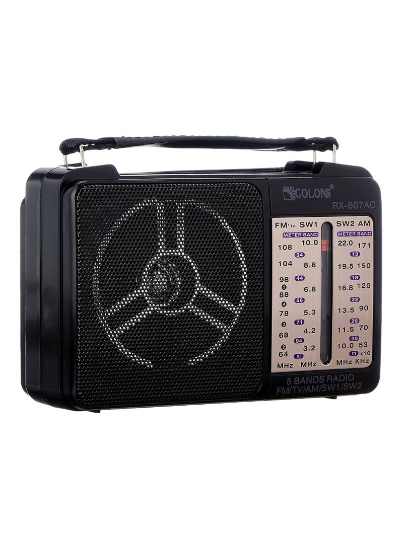 راديو جولون كلاسيكى يعمل بالكهرباء متعدد الموجات RX-607AC – استقبال AM/FM/SW1/SW2 – عالي الحساسية – هوائي طويل – أسود