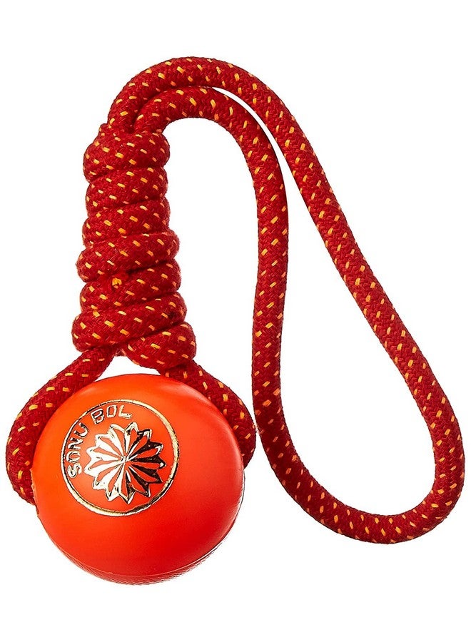 ألعاب حبل قطني معقود من البلاستيك المتين لتنظيف الأسنان والمضغ لجميع سلالات الكلاب والقطط والجراء - متعددة الألوان - Image 1