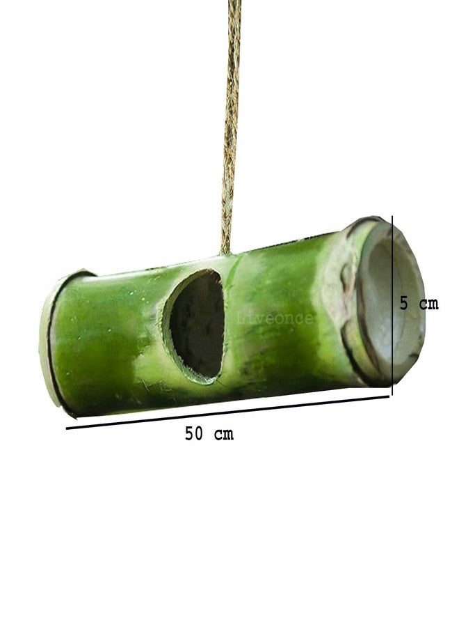LIVEONCE Bamboo Made Horizan Bird nest Color -Natural (Green to Yellow) - Image 3