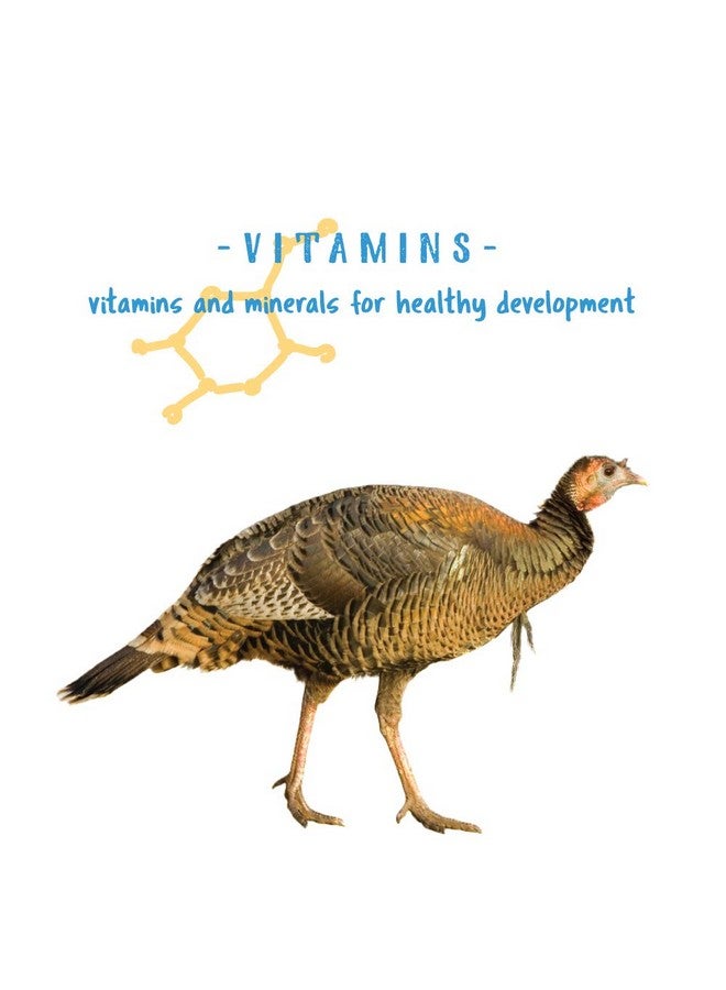 مانا برو، فتات طعام الطيور البرية، علف دواجن صحي، مُركّب بالفيتامينات والمعادن، 5 أرطال - Image 4