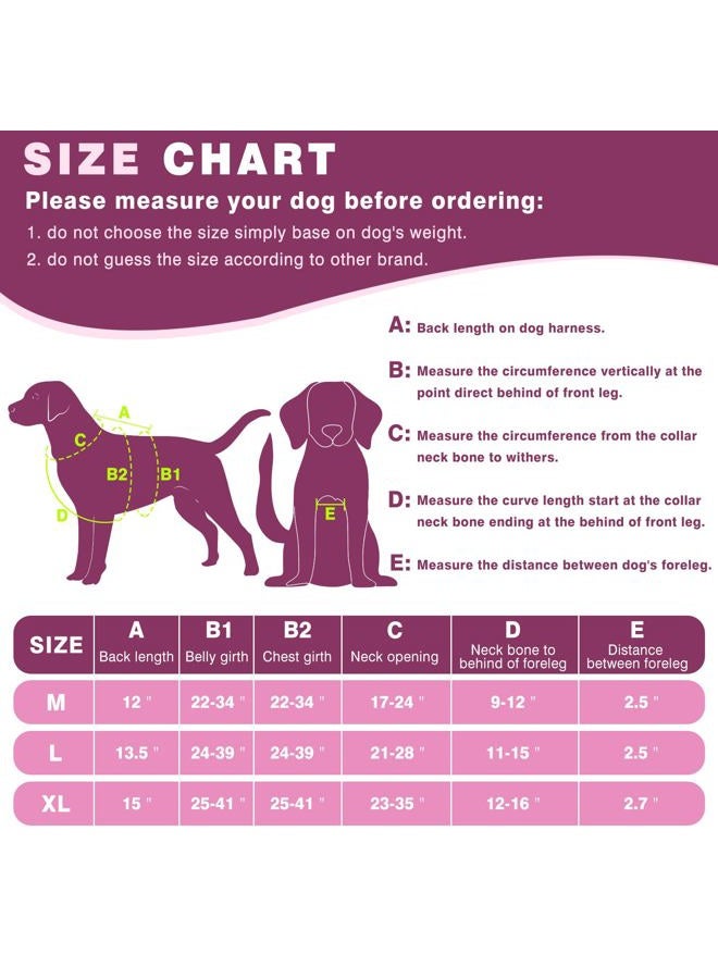 WINSEE Service Dog Vest Harness for Large Dog, Tactical Working MOLLE Vest with 10 Pet Patches, No Pull Heavy Duty Harness for Training Walking - Image 5