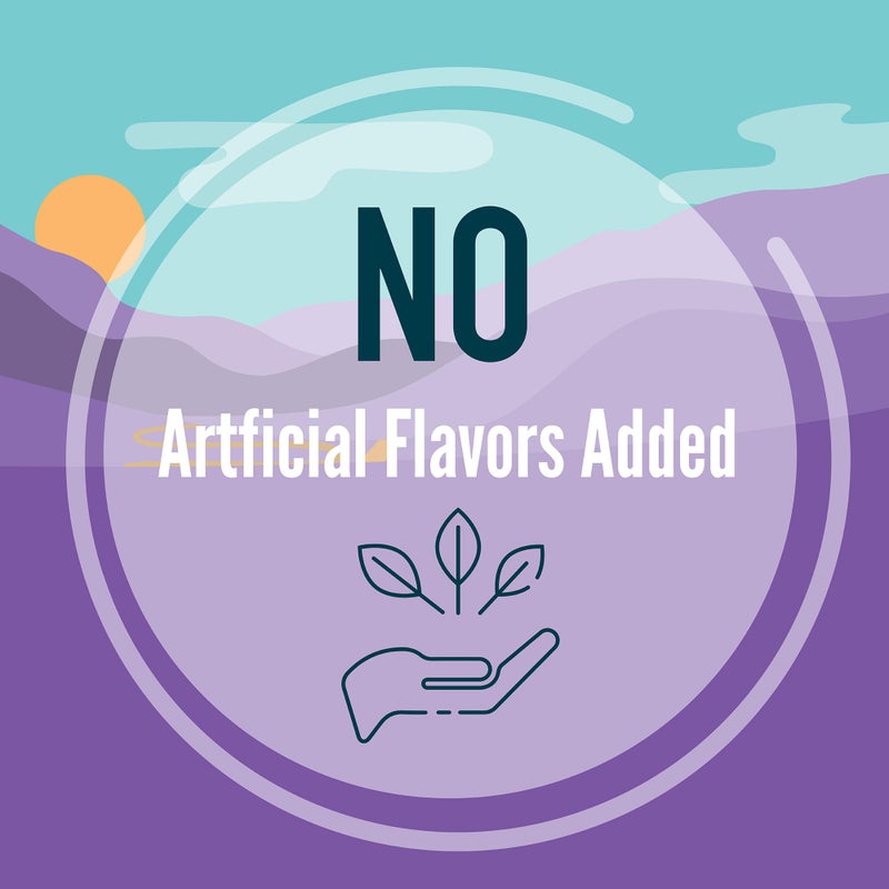 A Strong Heart Wet Dog Food Pouches, Chicken Dinner in Gravy, 3.5 oz Pouches (Pack of 24), Made in The USA with Real Chicken - Image 4