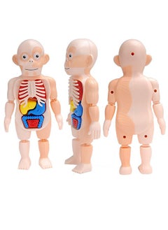 Kids Early Educational Learning Toys Human Organs Model with Removable Parts ,17 Pcs Human Body Model DIY Assembly Science Kits Toys for Boys Girls Preschool Learning Toys - pzsku/ZD94994C30D17065AB722Z/45/_/1726738688/6f53e0e3-6676-4e81-aeb6-5d12455dfbd3