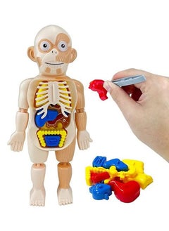 Kids Early Educational Learning Toys Human Organs Model with Removable Parts ,17 Pcs Human Body Model DIY Assembly Science Kits Toys for Boys Girls Preschool Learning Toys - pzsku/ZD94994C30D17065AB722Z/45/_/1727060601/a09005e5-9b1f-4650-8620-a0db9c1d58d1