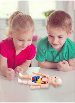 Kids Early Educational Learning Toys Human Organs Model with Removable Parts ,17 Pcs Human Body Model DIY Assembly Science Kits Toys for Boys Girls Preschool Learning Toys - pzsku/ZD94994C30D17065AB722Z/45/_/1727060602/106a57a6-e641-4756-9854-92dd37289422