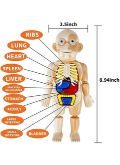 Kids Early Educational Learning Toys Human Organs Model with Removable Parts ,17 Pcs Human Body Model DIY Assembly Science Kits Toys for Boys Girls Preschool Learning Toys - pzsku/ZD94994C30D17065AB722Z/45/_/1727060603/bb1f2dda-f133-4227-88fd-48cc43ac63cf