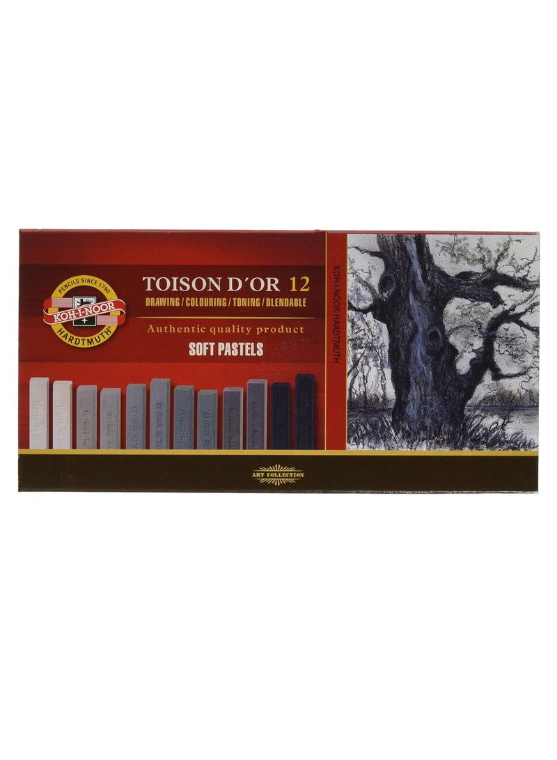 كوه-آي-نور Koh-I-Noor Pack of 12 TOISON D'OR Soft Pastel Pencils for Artist – Grey -No: 8592 - Image 1