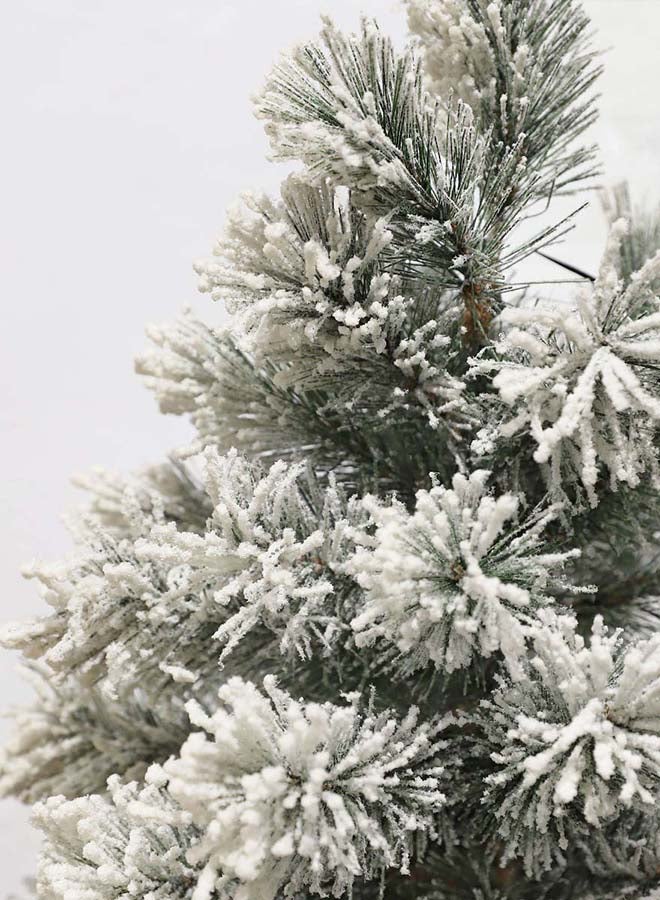Suncoast Dinsmore Artificial Tree Tips 32 With Frosted Burlap Frosted White  - Image 3
