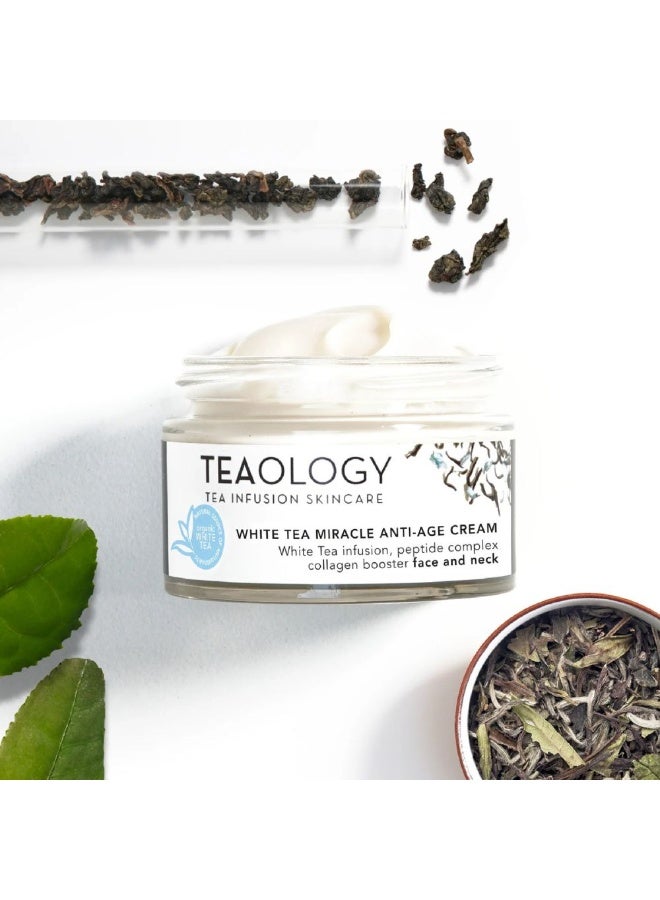 Teaology White Tea Miracle Anti-Age Cream Face and Neck 50ml - Image 3