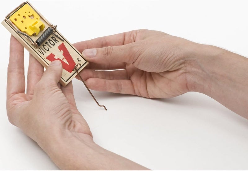 Victor Wood Mouse Trap, Pack of 4, M033 - Prebaited for Effective Rodent Control - Image 4