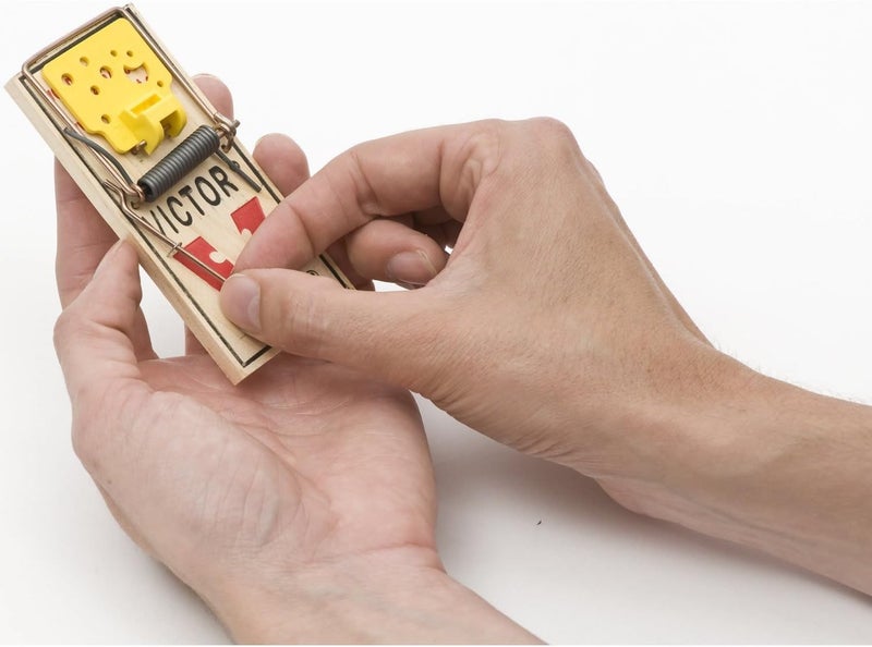 Victor Wood Mouse Trap, Pack of 4, M033 - Prebaited for Effective Rodent Control - Image 3