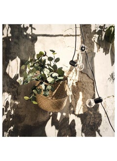 Beauenty Artificial leaf, eucalyptus/green, 65 cm  - Image 2