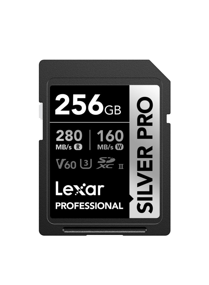 Lexar Silver Pro SD Card 256GB, UHS-II Memory Card, V60, U3, C10, SDXC Card, Up To 280MB/s 256 GB - Image 1