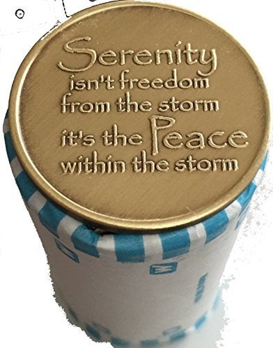 RecoveryChip Bulk Lot of 25 Serenity Lake Peace Within The Storm Bronze Medallions Chip Wholesale Set - Image 2