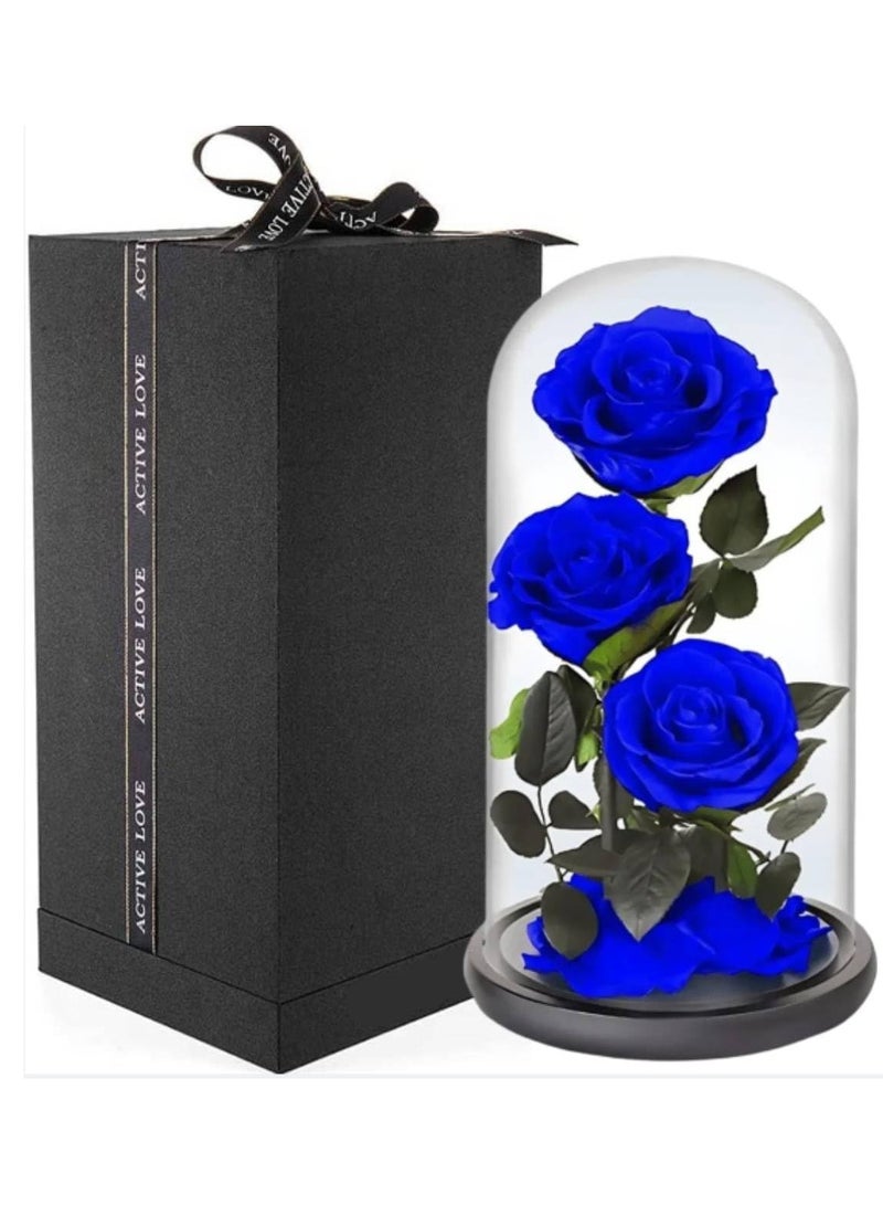 Scrolls Large-size Forever Blue Rose, Real Eternal Rose in Glass Dome Preserved Flower with Luxury Gift Box - Gift for Mother's Day Wedding Anniversary Birthday Any Special Day (Three Roses)  - Image 1