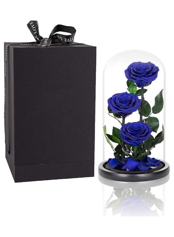 Scrolls Large-size Forever Blue Rose, Real Eternal Rose in Glass Dome Preserved Flower with Luxury Gift Box - Gift for Mother's Day Wedding Anniversary Birthday Any Special Day (Three Roses)  - Image 3