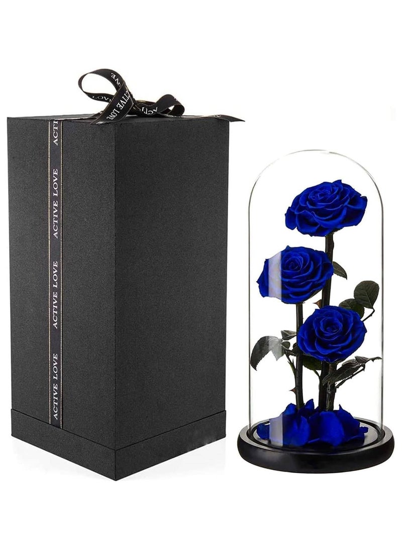 Scrolls Large-size Forever Blue Rose, Real Eternal Rose in Glass Dome Preserved Flower with Luxury Gift Box - Gift for Mother's Day Wedding Anniversary Birthday Any Special Day (Three Roses)  - Image 2