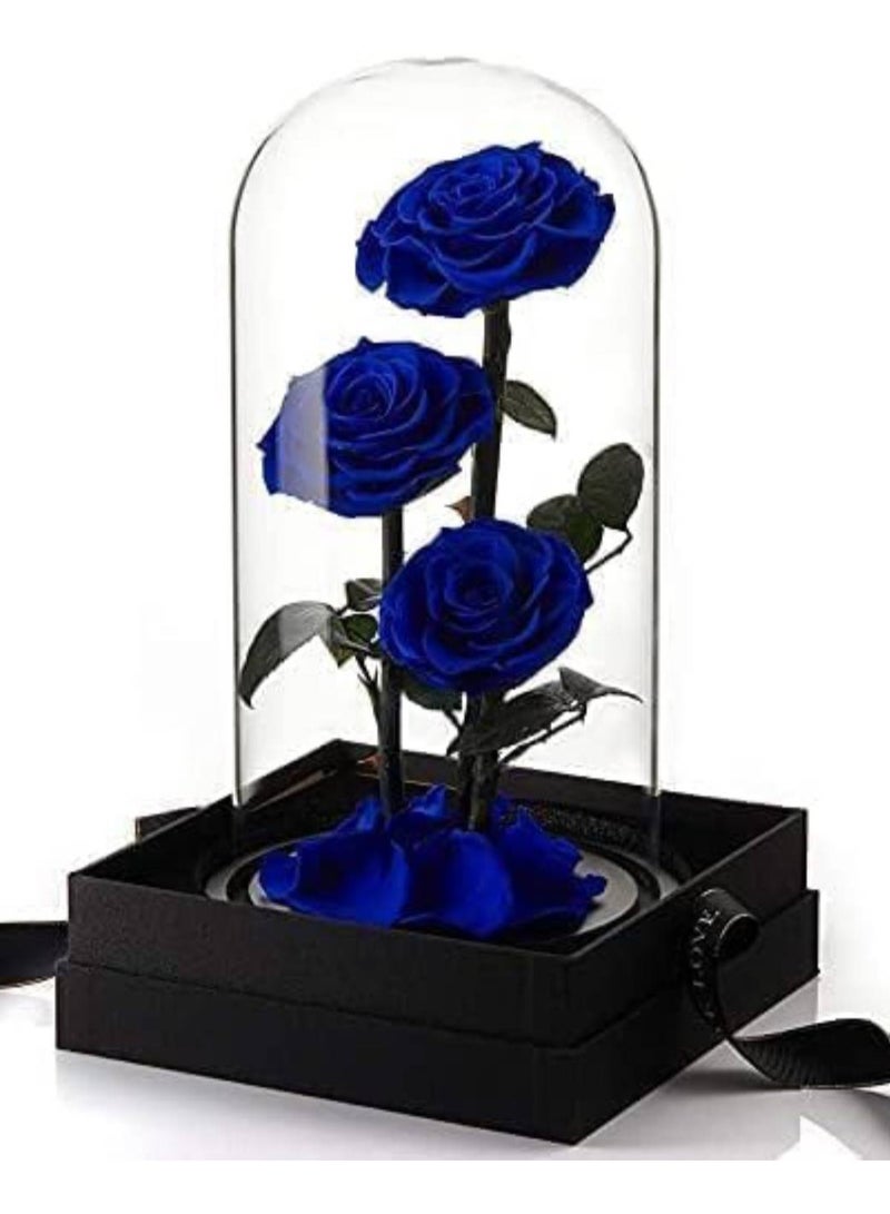 Scrolls Large-size Forever Blue Rose, Real Eternal Rose in Glass Dome Preserved Flower with Luxury Gift Box - Gift for Mother's Day Wedding Anniversary Birthday Any Special Day (Three Roses)  - Image 5