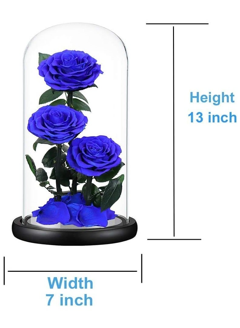 Scrolls Large-size Forever Blue Rose, Real Eternal Rose in Glass Dome Preserved Flower with Luxury Gift Box - Gift for Mother's Day Wedding Anniversary Birthday Any Special Day (Three Roses)  - Image 4