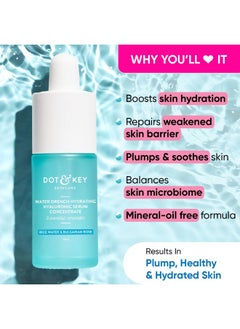 Dot & Key Dot & Key Hydrating Hyaluronic Acid Serum With Vitamin C + E | For Plump, Glowing Skin | Face Serum for Dry Skin, Oily & Normal Skin | With Ceramide & Acai Berry | 30ml  - Image 2