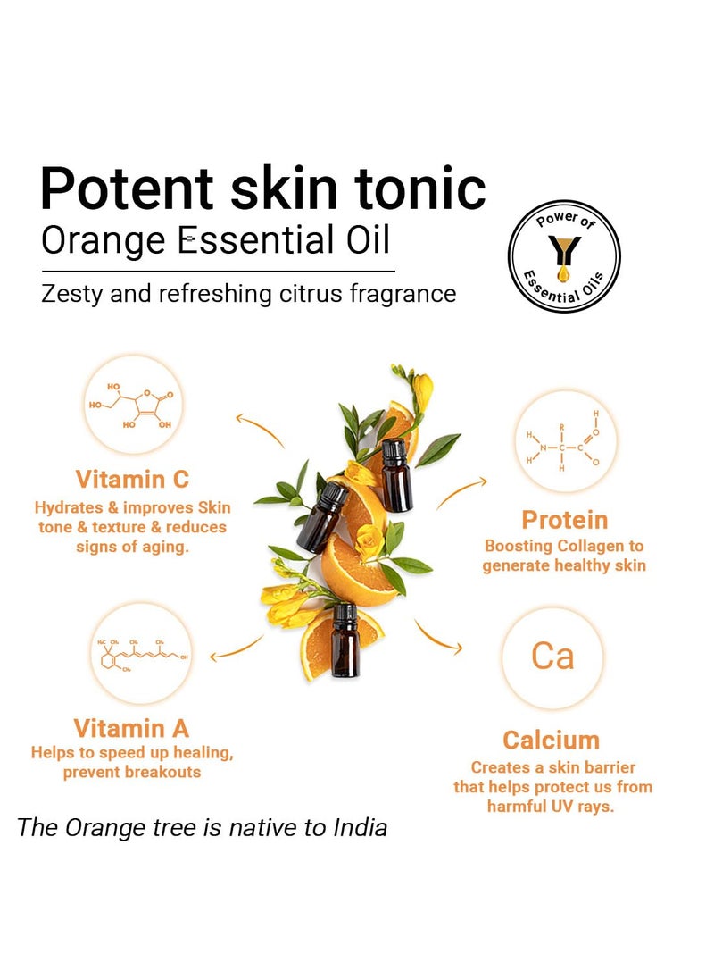KEYA SETH AROMATHERAPY, DEVICE OF DROP Keya Seth Aromatherapy Skin Defence Orange Cream Light Moisturizing Quick Absorbing Skin Repairs Rejuvenation Enriched with Pure Orange Essential Oil and Vitamin C Pack Of 2  - Image 3