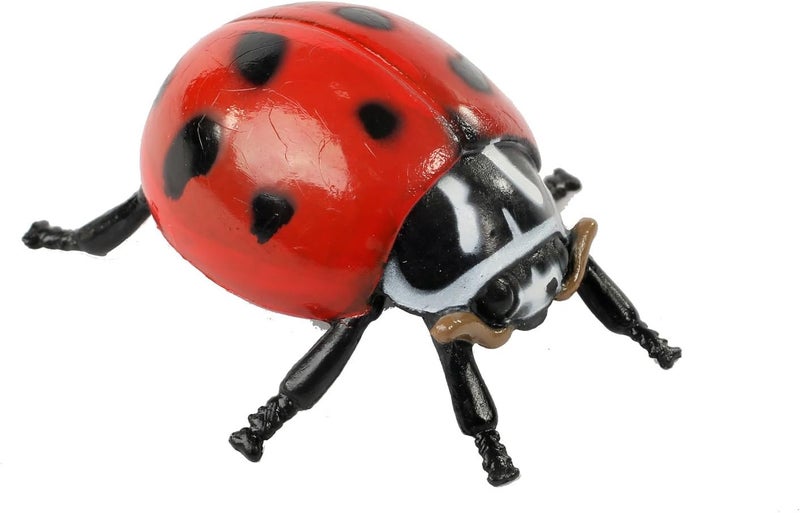 Insect Lore Live Baby Ladybug Larvae - Ladybug Growing Kit REFILL with Ladybug Life Cycle Toy Figurines - SHIP NOW - Image 4