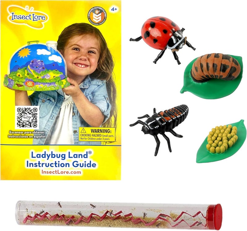 Insect Lore Live Baby Ladybug Larvae - Ladybug Growing Kit REFILL with Ladybug Life Cycle Toy Figurines - SHIP NOW - Image 1