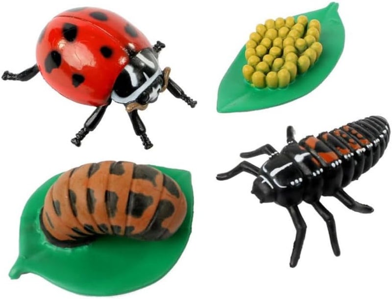Insect Lore Live Baby Ladybug Larvae - Ladybug Growing Kit REFILL with Ladybug Life Cycle Toy Figurines - SHIP NOW - Image 3