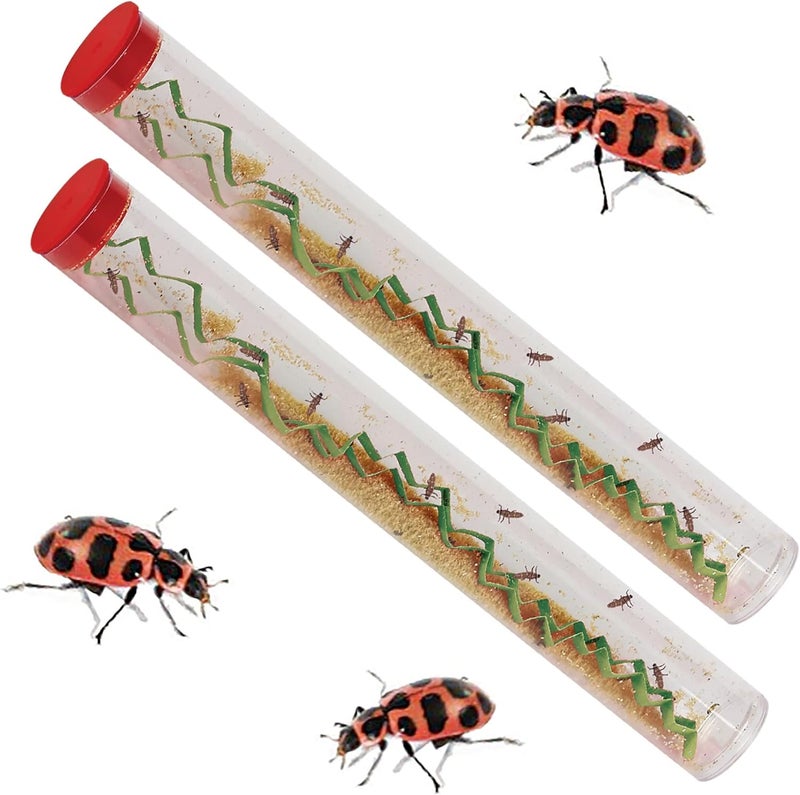 Insect Lore Live Baby Ladybug Larvae - Ladybug Growing Kit REFILL with Ladybug Life Cycle Toy Figurines - SHIP NOW - Image 2