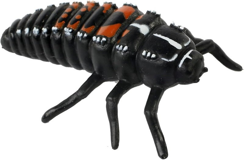 Insect Lore Live Baby Ladybug Larvae - Ladybug Growing Kit REFILL with Ladybug Life Cycle Toy Figurines - SHIP NOW - Image 5