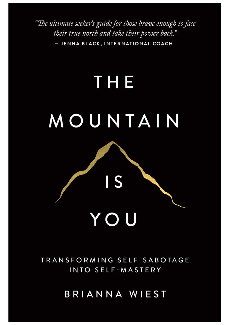 null - The Mountain Is You: Transforming Self-Sabotage Into Self-Mastery - Image 1