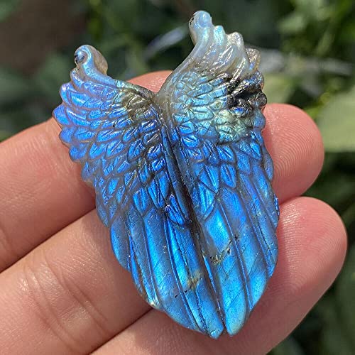 TEAMWILL 1PC Natural Labradorite Hand Carved The Wing Skull Quartz Crystal Healing Reiki - Image 2