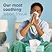 Puffs Plus Lotion Facial Tissues 4 Family Boxes 124 tissues per box - Image 4