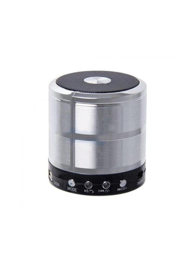 Bluetooth Speaker WS-887, Silver