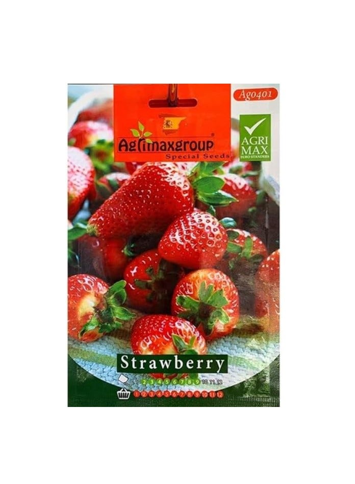 أجريماكس بذور الفراولة عالية الجودة من Agrimaxgroup®  - Image 1