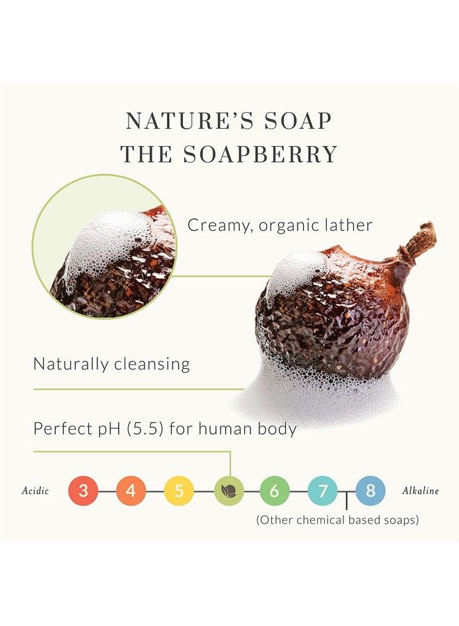 Tree to Tub غسول جسم لافندر للبشرة الحساسة والبشرة الجافة متوازن الحموضة مرطب غسول جسم مرطب خالي من الكبريتات صابون نباتي للنساء والرجال مع زبدة الشيا العضوية وألوة فيرا طبيعية   - Image 3