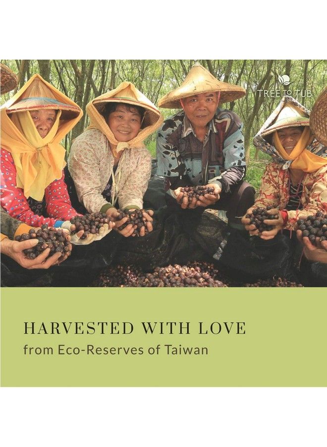 Tree to Tub غسول جسم لافندر للبشرة الحساسة والبشرة الجافة متوازن الحموضة مرطب غسول جسم مرطب خالي من الكبريتات صابون نباتي للنساء والرجال مع زبدة الشيا العضوية وألوة فيرا طبيعية   - Image 4