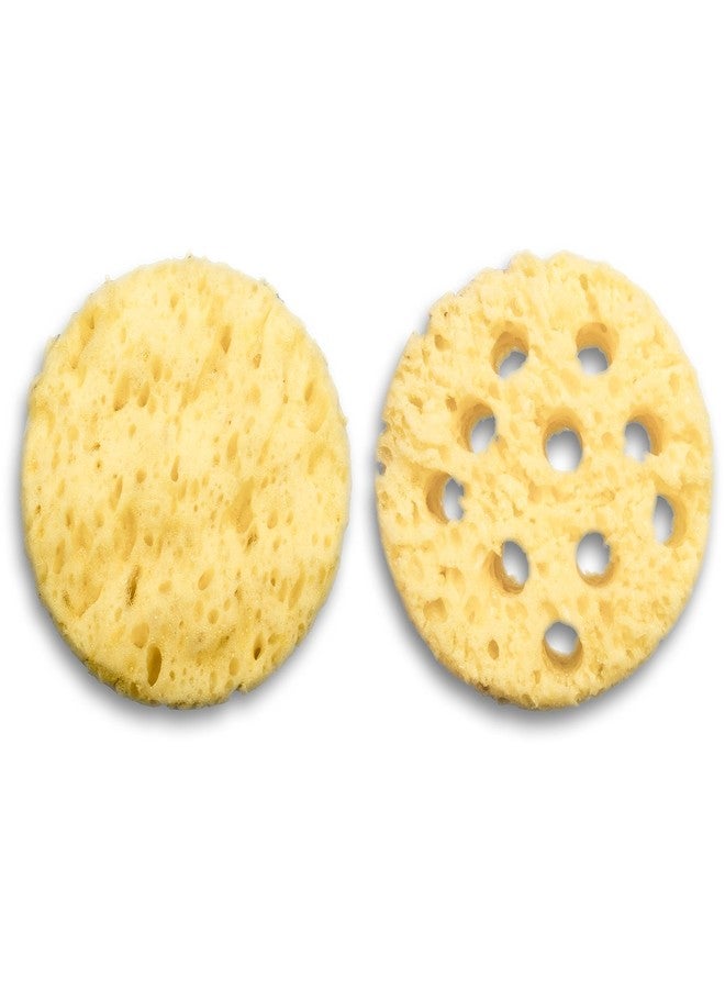 Marshalltown Texture Sponge Kit - Knockdown & Orange Peel - Image 2