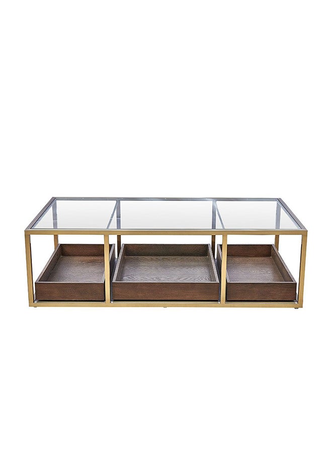 DANUBE HOME Lyon Glass Console Table Multifunctional Living Room Table Space Saving Center Table Modern Design Furniture For Home L 150x80x44 cm Dark Oak/Gold  - Image 2