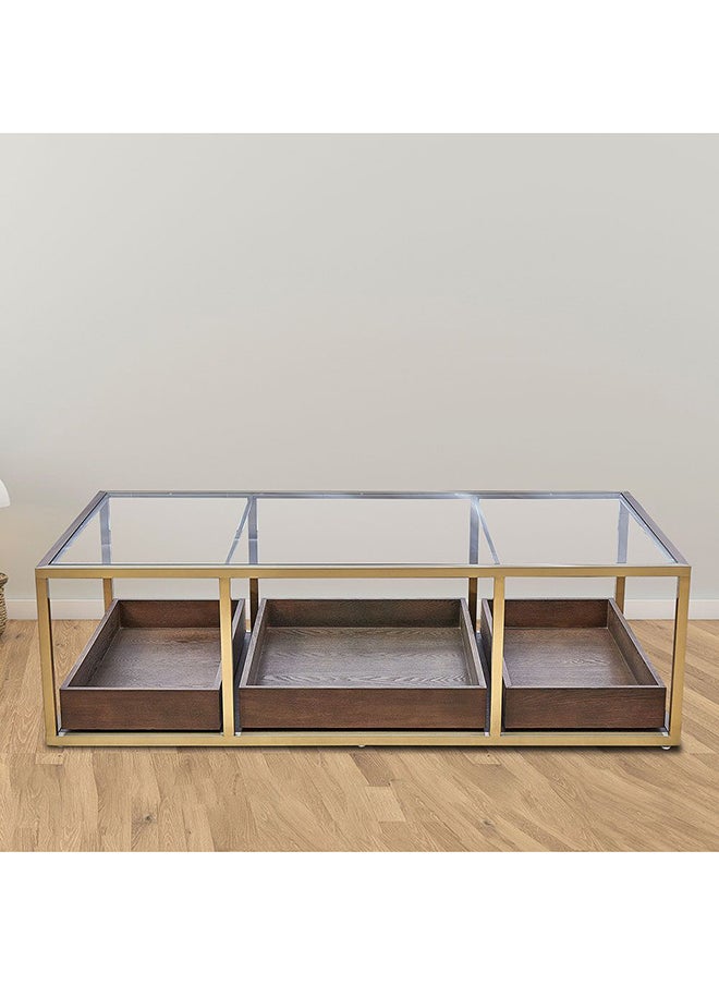 DANUBE HOME Lyon Glass Console Table Multifunctional Living Room Table Space Saving Center Table Modern Design Furniture For Home L 150x80x44 cm Dark Oak/Gold  - Image 1