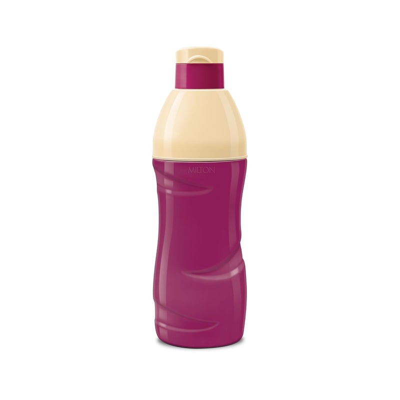 Milton Milton Kool Crony 600 Insulated Water Bottle, 1 Piece, 500 ml, Purple - Image 1